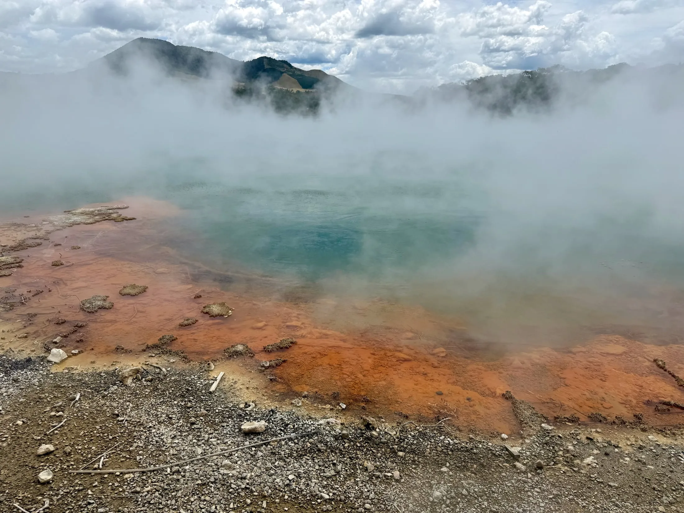 The Champagne Pool at Wai-O-Tapu geothermal area near Rotorua, New Zealand — a steaming turquoise hot spring rimmed with bright orange mineral deposits